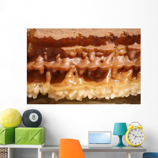 Potassium Salt Deposits Dallol Wall Decal Design 3
