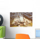 Dallol Geothermal Area Small Wall Decal