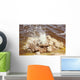 Dallol Geothermal Area Small Wall Decal