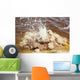 Dallol Geothermal Area Small Wall Decal