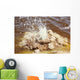 Dallol Geothermal Area Small Wall Decal