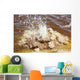 Dallol Geothermal Area Small Wall Decal