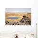 Dallol Geothermal Area 1926 Wall Decal