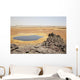 Dallol Geothermal Area 1926 Wall Decal