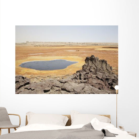 Dallol Geothermal Area 1926 Wall Decal