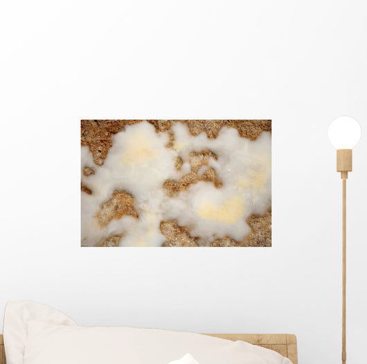Salt Deposits after Evaporation Wall Decal