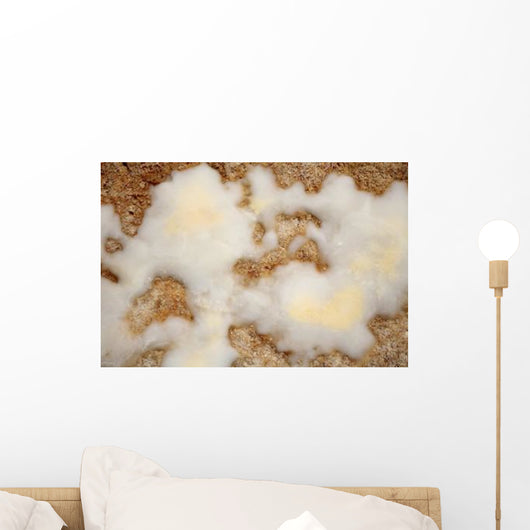 Salt Deposits after Evaporation Wall Decal