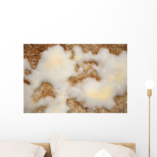 Salt Deposits after Evaporation Wall Decal