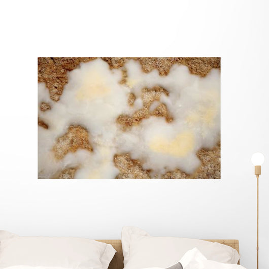 Salt Deposits after Evaporation Wall Decal