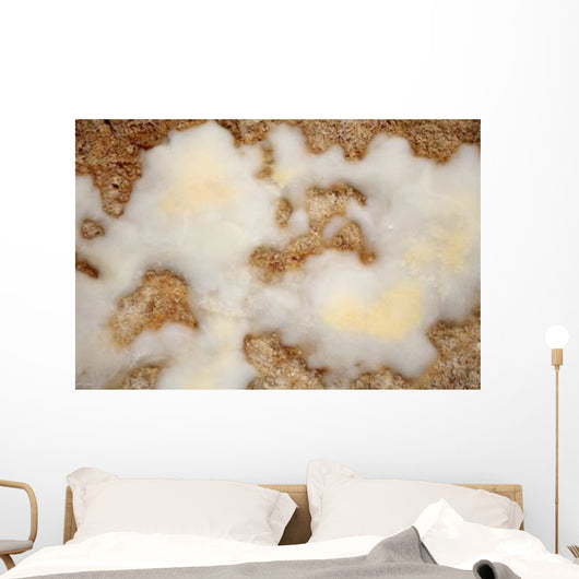 Salt Deposits after Evaporation Wall Decal