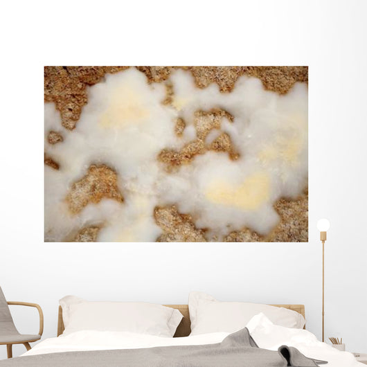 Salt Deposits after Evaporation Wall Decal