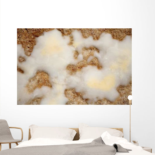 Salt Deposits after Evaporation Wall Decal