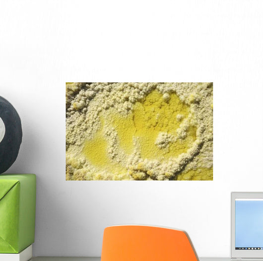 Close-up Yellow Salt Crystals Wall Decal Design 4