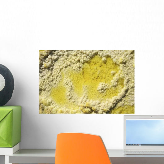 Close-up Yellow Salt Crystals Wall Decal Design 4
