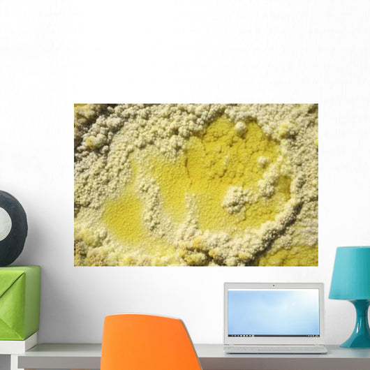Close-up Yellow Salt Crystals Wall Decal Design 4