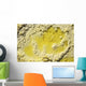 Close-up Yellow Salt Crystals Wall Decal Design 4