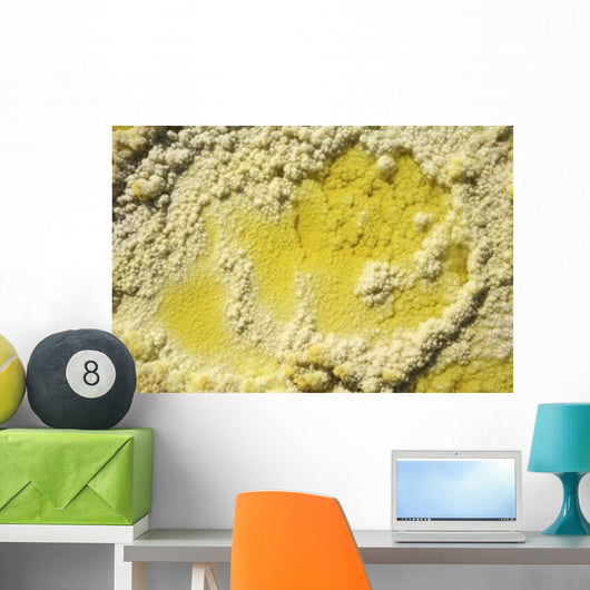 Close-up Yellow Salt Crystals Wall Decal Design 4