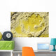 Close-up Yellow Salt Crystals Wall Decal Design 4