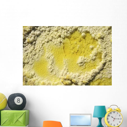 Close-up Yellow Salt Crystals Wall Decal Design 4