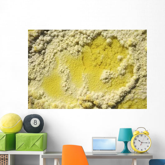 Close-up Yellow Salt Crystals Wall Decal Design 4