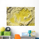 Close-up Yellow Salt Crystals Wall Decal Design 4