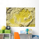 Close-up Yellow Salt Crystals Wall Decal Design 4