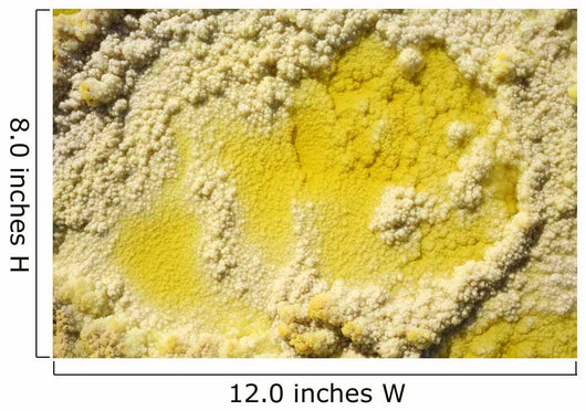 Close-up Yellow Salt Crystals Wall Decal Design 4
