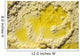 Close-up Yellow Salt Crystals Wall Decal Design 4