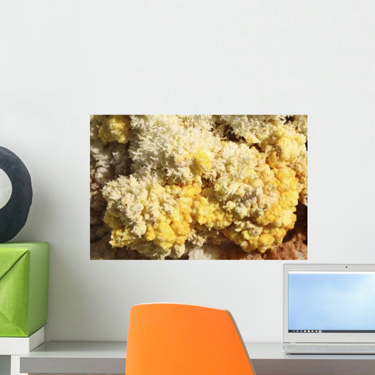 Close-up Yellow Salt Crystals Wall Decal Design 3