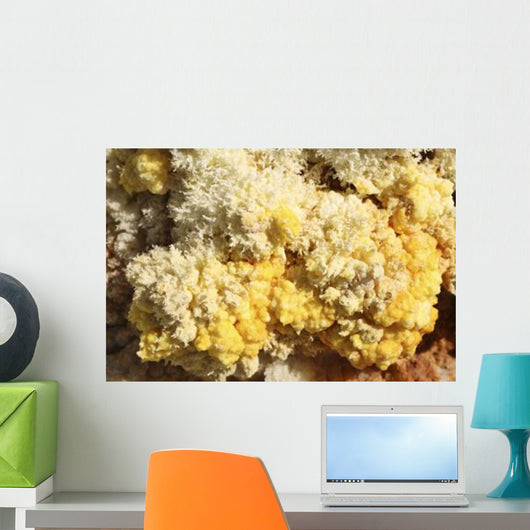 Close-up Yellow Salt Crystals Wall Decal Design 3