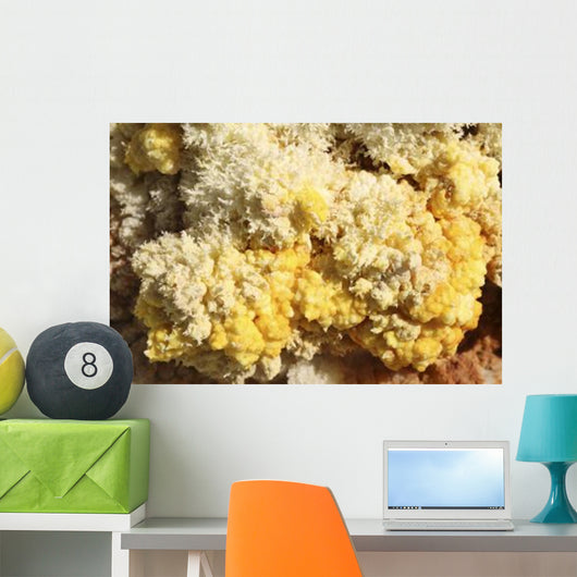 Close-up Yellow Salt Crystals Wall Decal Design 3