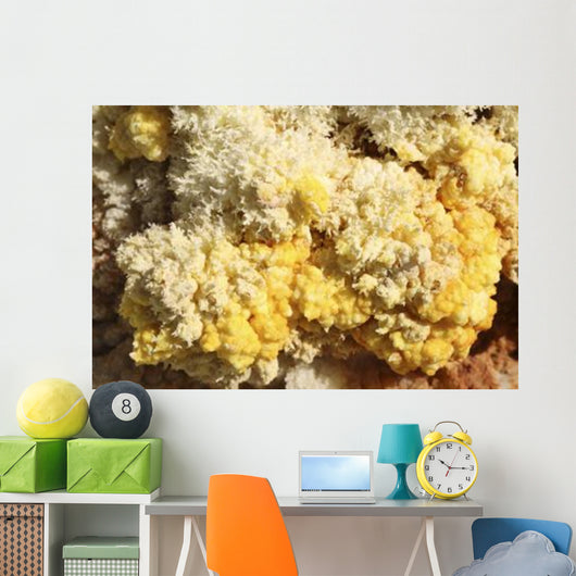 Close-up Yellow Salt Crystals Wall Decal Design 3
