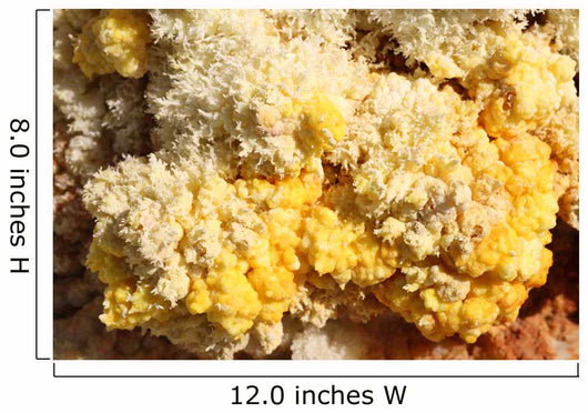 Close-up Yellow Salt Crystals Wall Decal Design 3