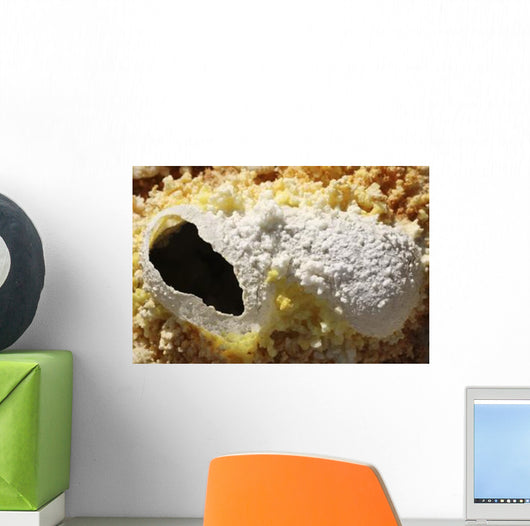 Fumarole Deposits Dallol Geothermal Wall Decal Design 1