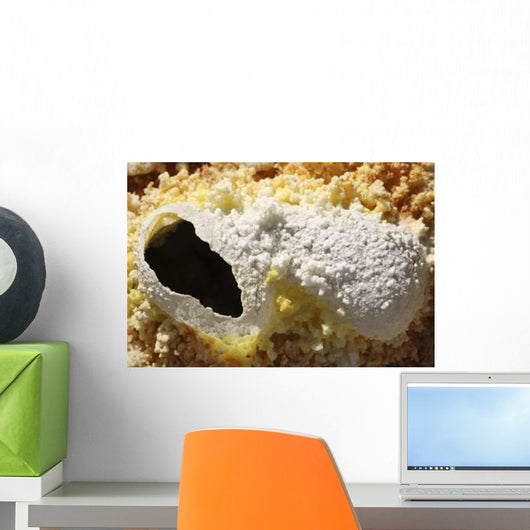 Fumarole Deposits Dallol Geothermal Wall Decal Design 1