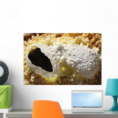 Fumarole Deposits Dallol Geothermal Wall Decal Design 1 shown on a wall