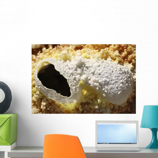 Fumarole Deposits Dallol Geothermal Wall Decal Design 1