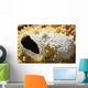 Fumarole Deposits Dallol Geothermal Wall Decal Design 1