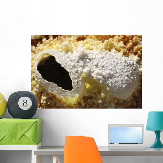 Fumarole Deposits Dallol Geothermal Wall Decal Design 1