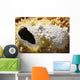Fumarole Deposits Dallol Geothermal Wall Decal Design 1