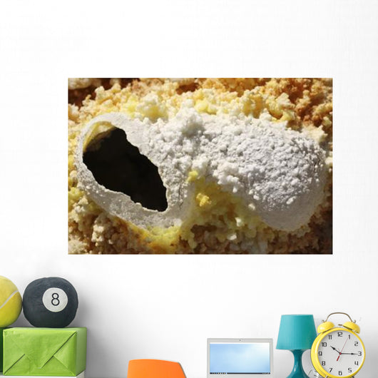 Fumarole Deposits Dallol Geothermal Wall Decal Design 1