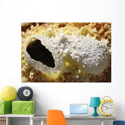 Fumarole Deposits Dallol Geothermal Wall Decal Design 1