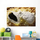 Fumarole Deposits Dallol Geothermal Wall Decal Design 1