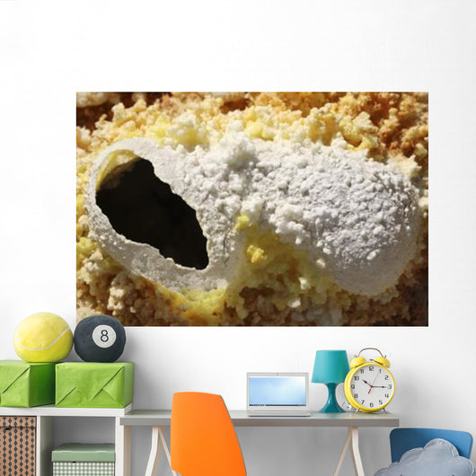 Fumarole Deposits Dallol Geothermal Wall Decal Design 1