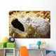 Fumarole Deposits Dallol Geothermal Wall Decal Design 1