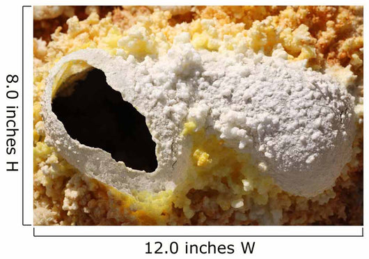 Fumarole Deposits Dallol Geothermal Wall Decal Design 1