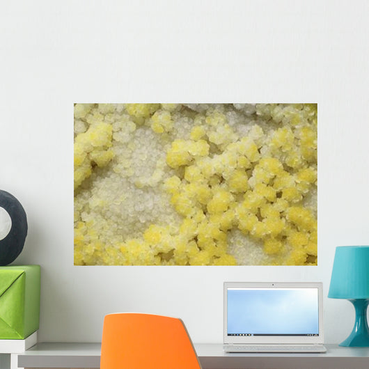Close-up Yellow Salt Crystals Wall Decal Design 2