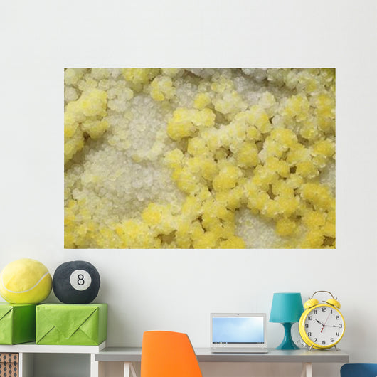 Close-up Yellow Salt Crystals Wall Decal Design 2