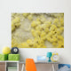 Close-up Yellow Salt Crystals Wall Decal Design 2