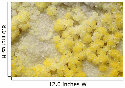 Close-up Yellow Salt Crystals Wall Decal Design 2